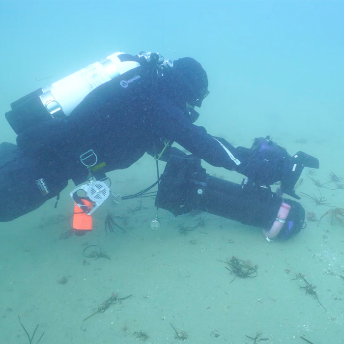 Documentaries and Short Films