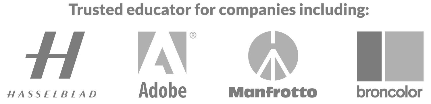 Trusted educator for company logos