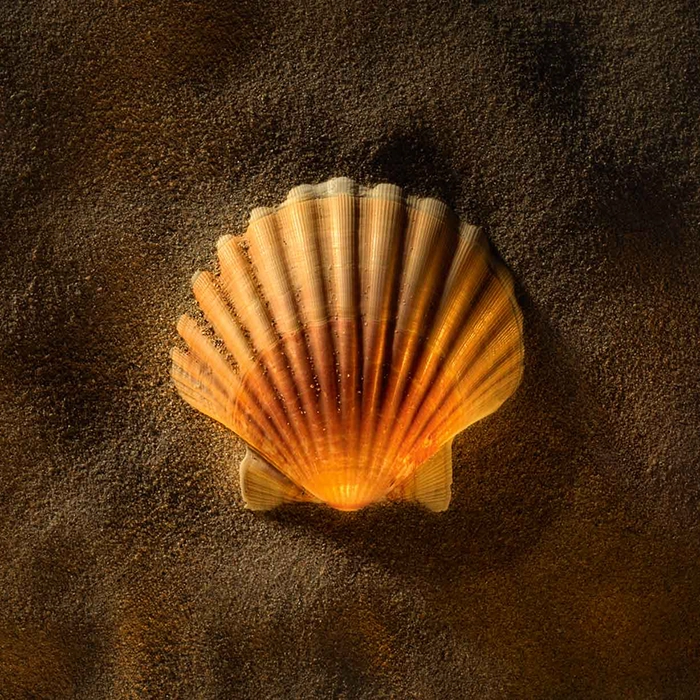 Featured image for “Symmetry in Photography: The Beauty of Balance”